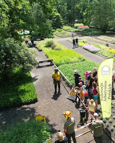 Greenea Polska - wycinka oraz pielęgnacja drzew, sadzenie drzew, drewno kominkowe, koszenie traw, aranżacja ogrodów.